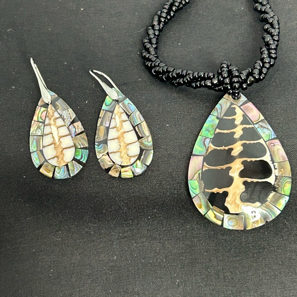Elegant Abalone  and turtle Shell Jewelry Set